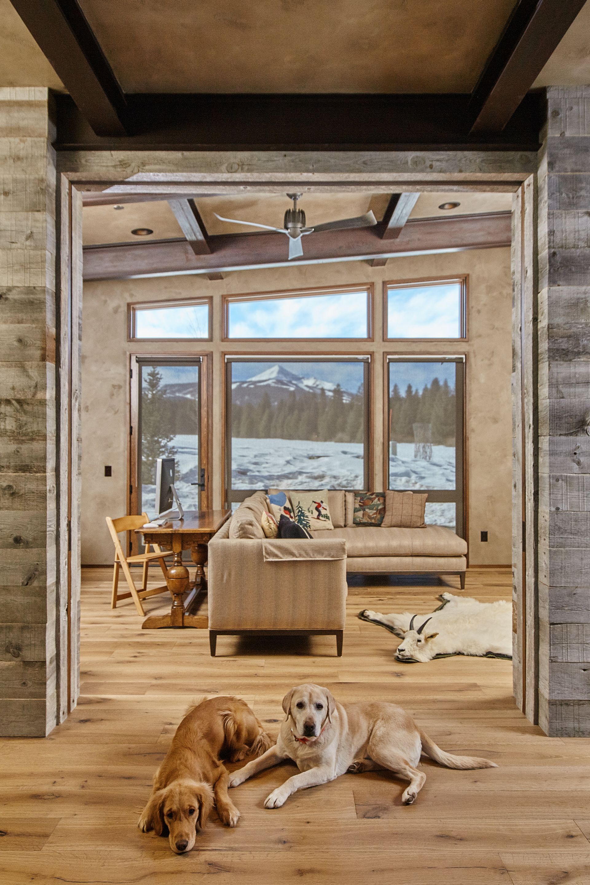 Two dogs are laying on the floor in a living room.
