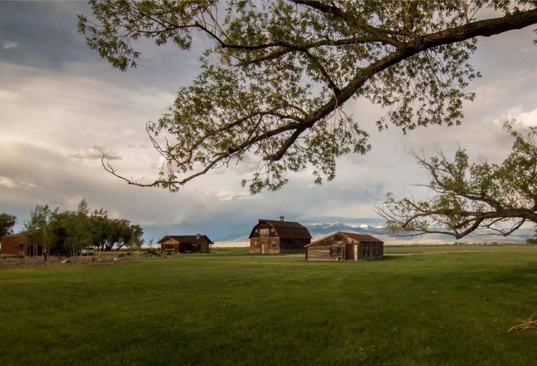 A group of houses are sitting in the middle of a grassy field.