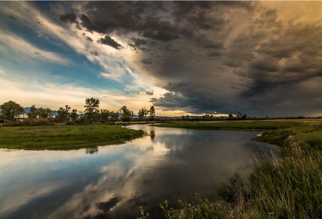 A lake surrounded by grass and trees with a cloudy sky in the background.