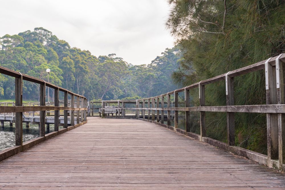 A Wooden Bridge Leading To A Body Of Water Surrounded By Trees — Eurobodalla Windscreens in Narooma, NSW
