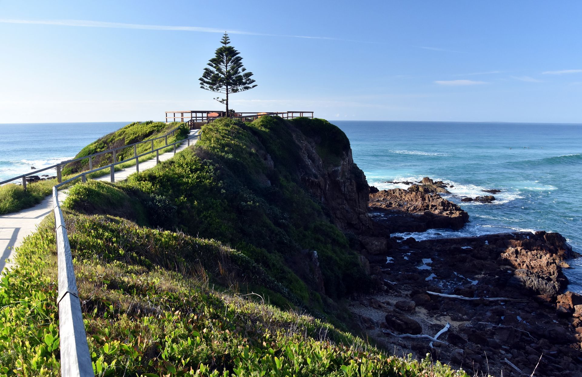 Coastal Cliff Path with Green Vegetation — Eurobodalla Windscreens in Tuross Head, NSW