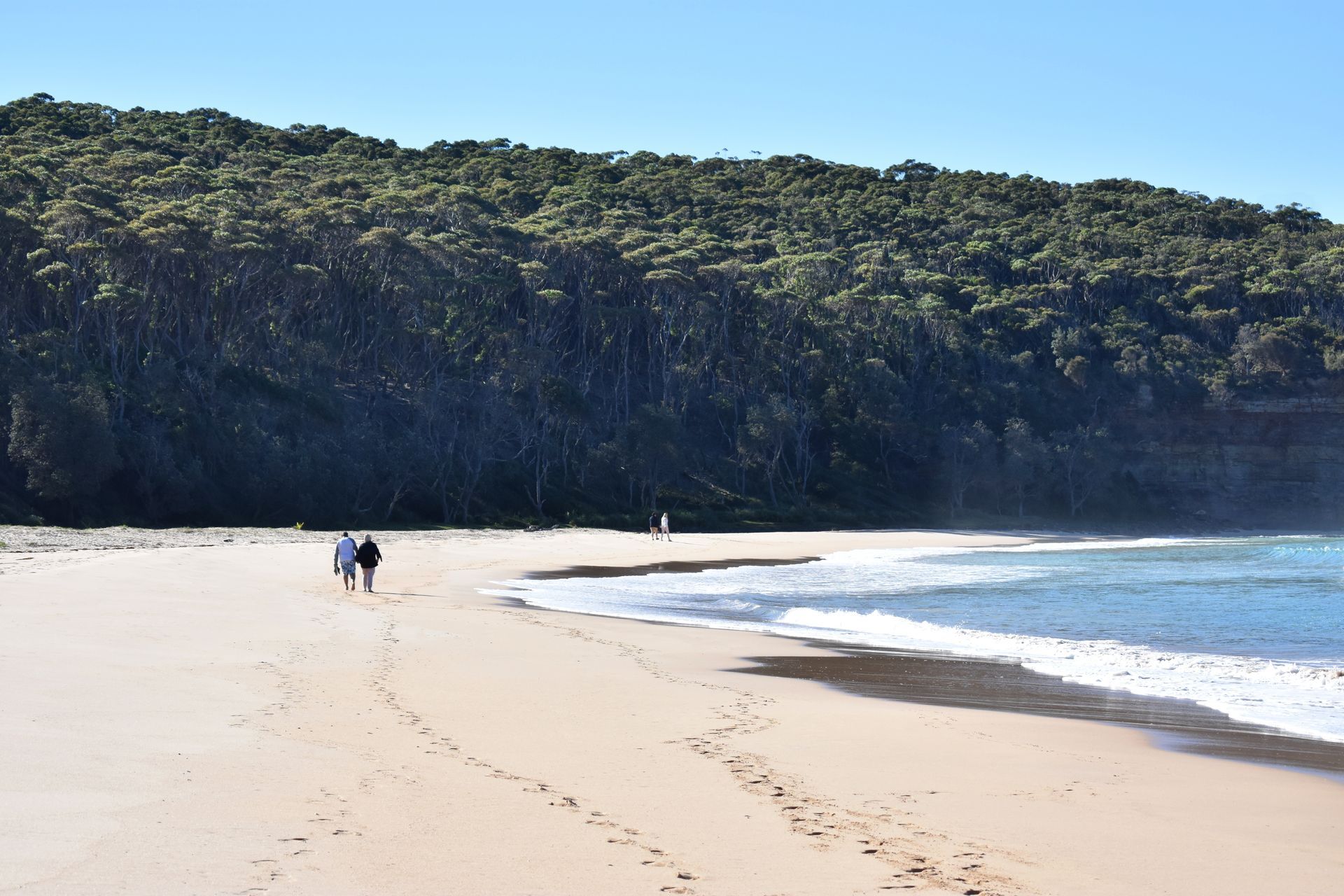 Two People Are Walking On A Beach With Trees In The Background — Eurobodalla Windscreens in Batemans Bay, NSW