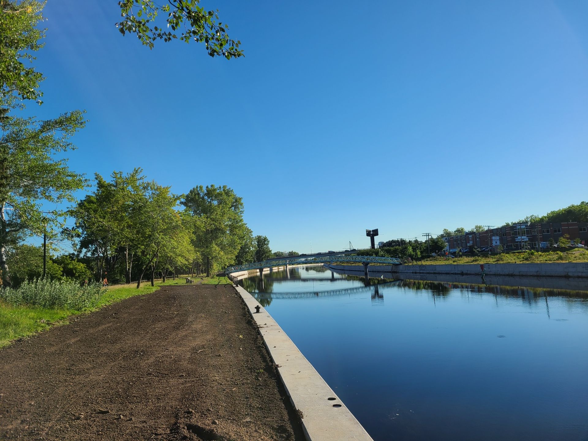 Un plan d'eau entouré d'arbres par une journée ensoleillée