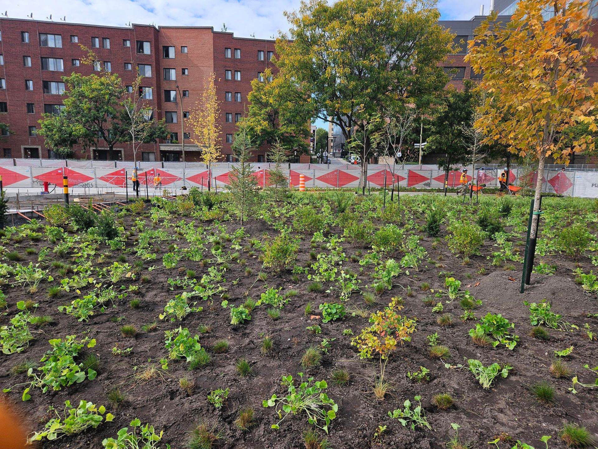 Un champ vert luxuriant avec un bâtiment en briques en arrière-plan