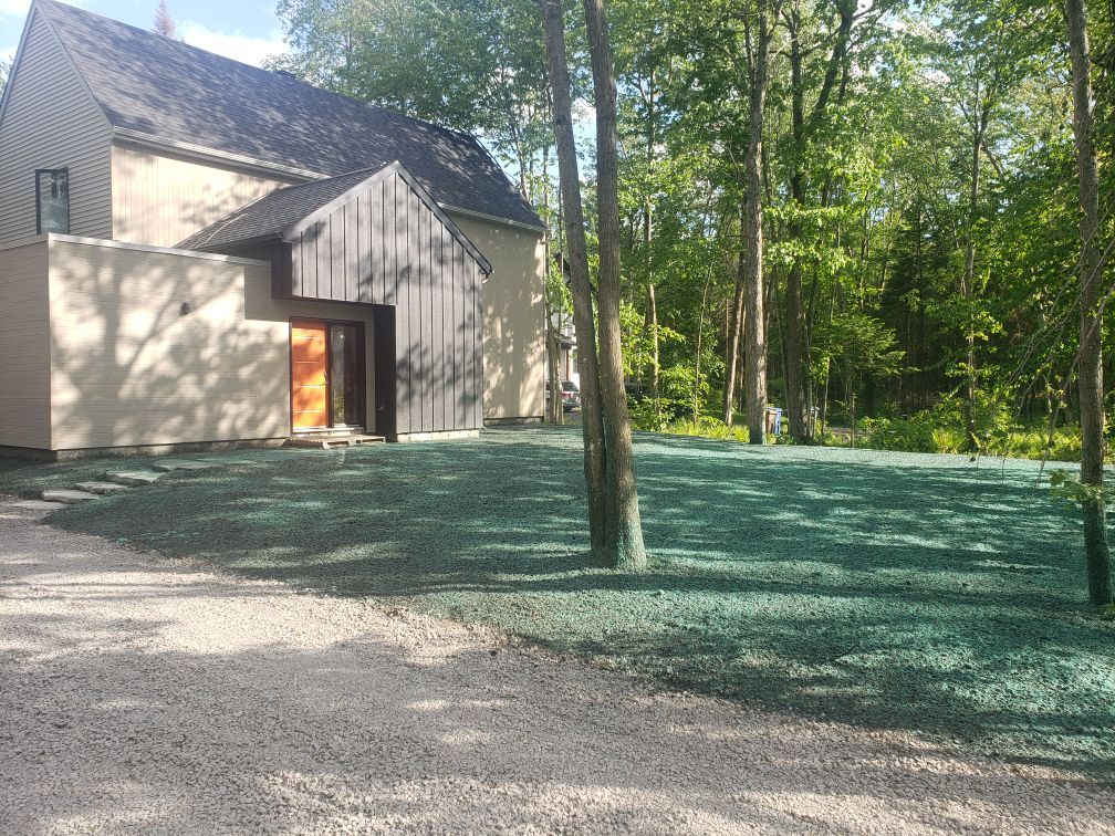 Une maison au milieu d'une forêt avec une allée de gravier devant.