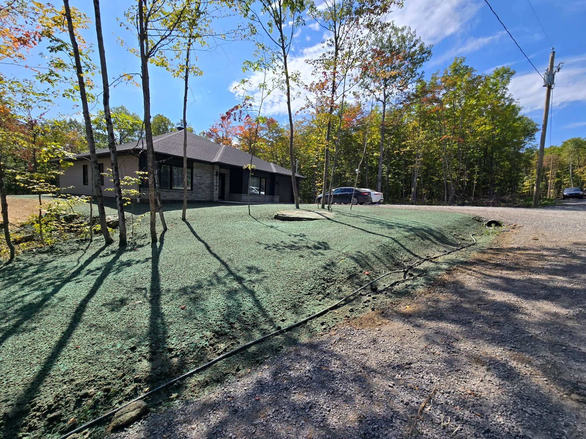 Une maison est située au milieu d'un champ vert luxuriant entouré d'arbres.