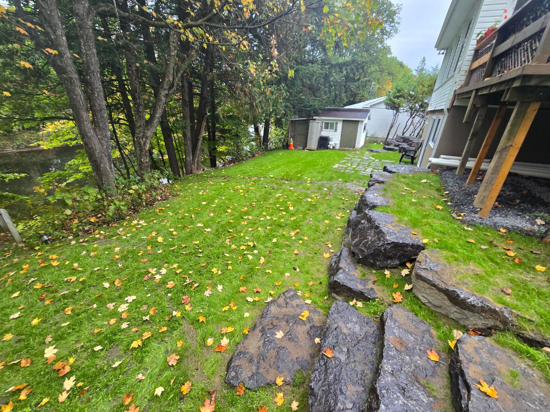 Une pelouse verte luxuriante avec des rochers au premier plan et une maison en arrière-plan.