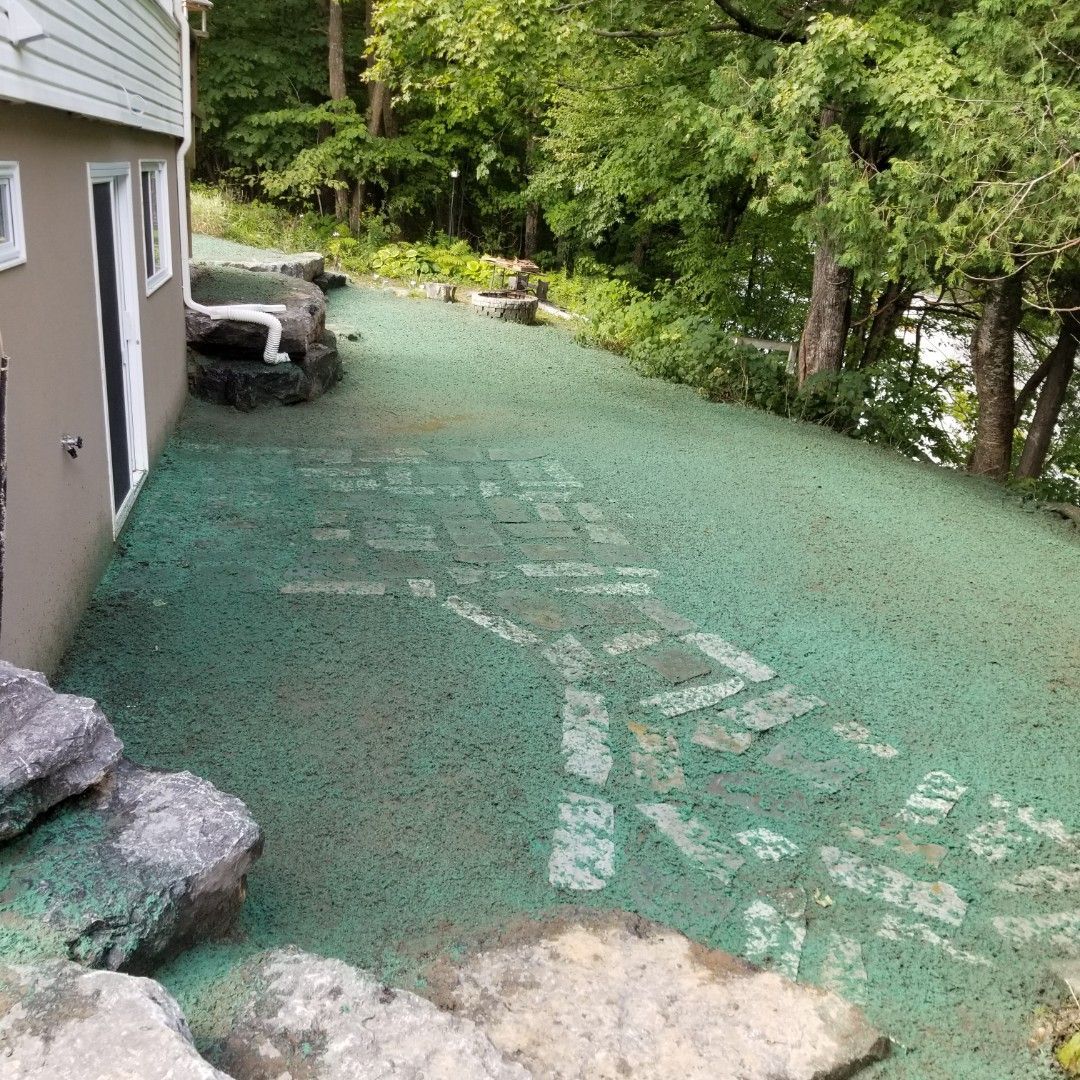 Un patio avec de l'herbe verte et des rochers devant une maison.