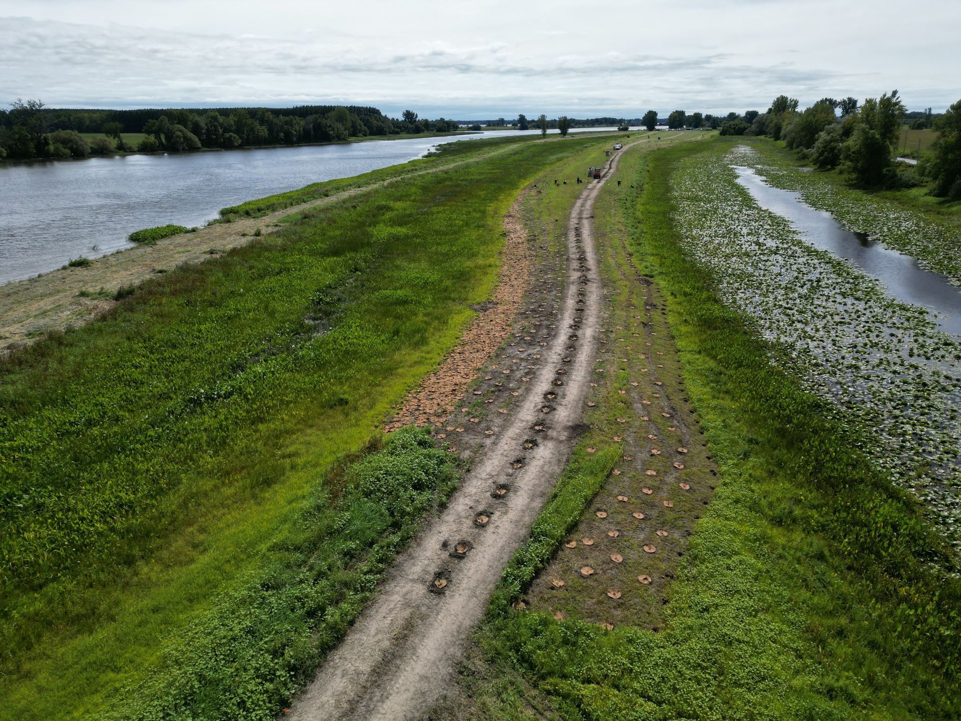 Une vue aérienne d'un chemin de terre menant à une rivière.
