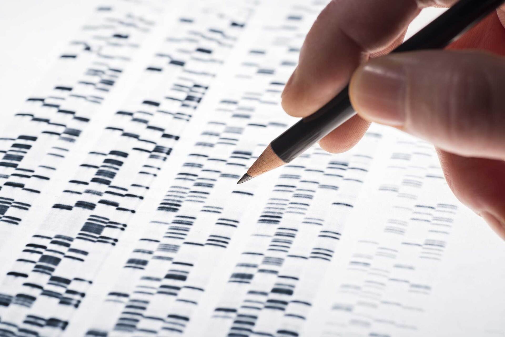 lettura risultati dna