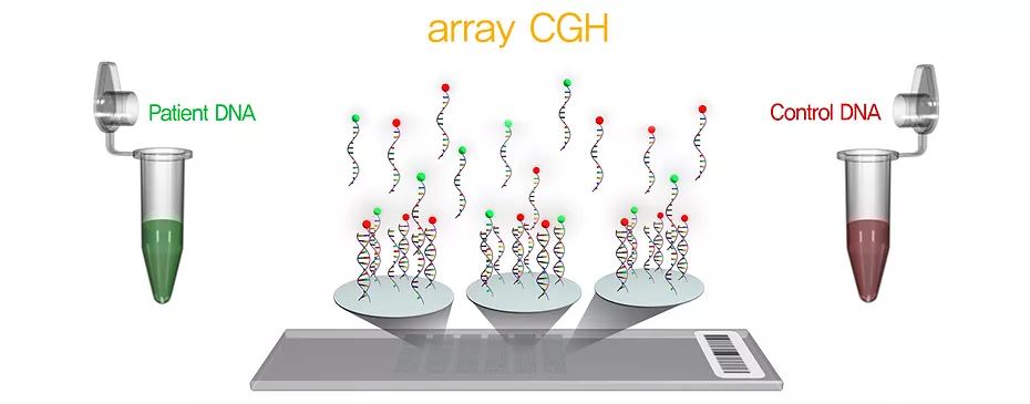 tecnica array cgh