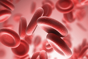LAB-SI - Hematología LAB-SI - Hematología
