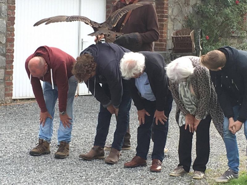 roofvogelshow