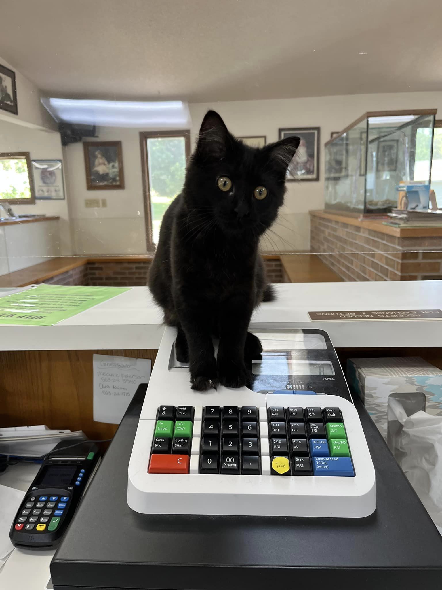 Pet Care Clinton, IA All Pets Mobile Clinic