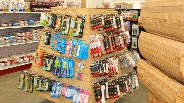 Pet Accessories — Clinton, IA — All Pets Mobile Clinic