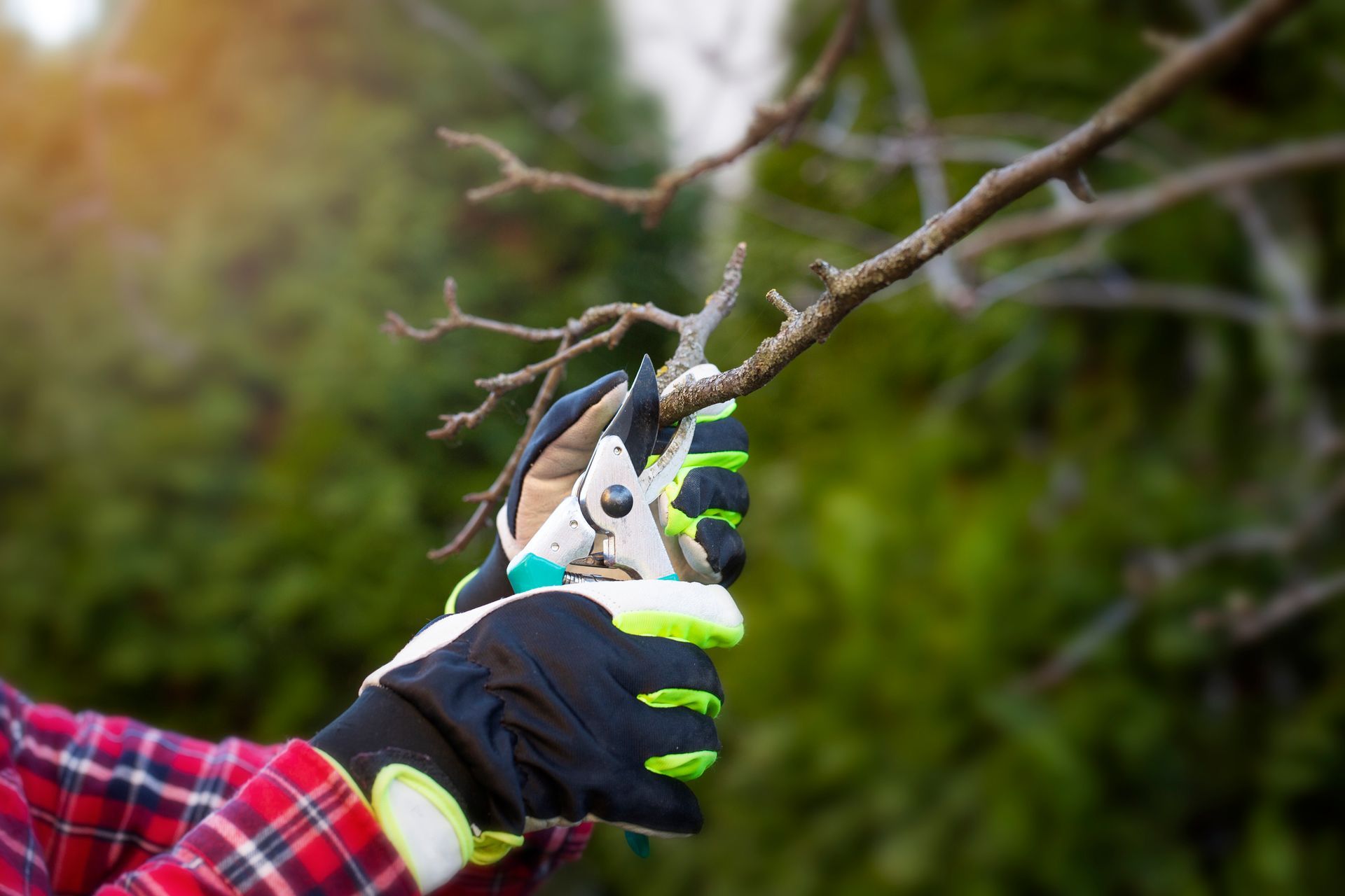 Gardener with scissors in his hand - Tree Service in Mount Bethel, PA