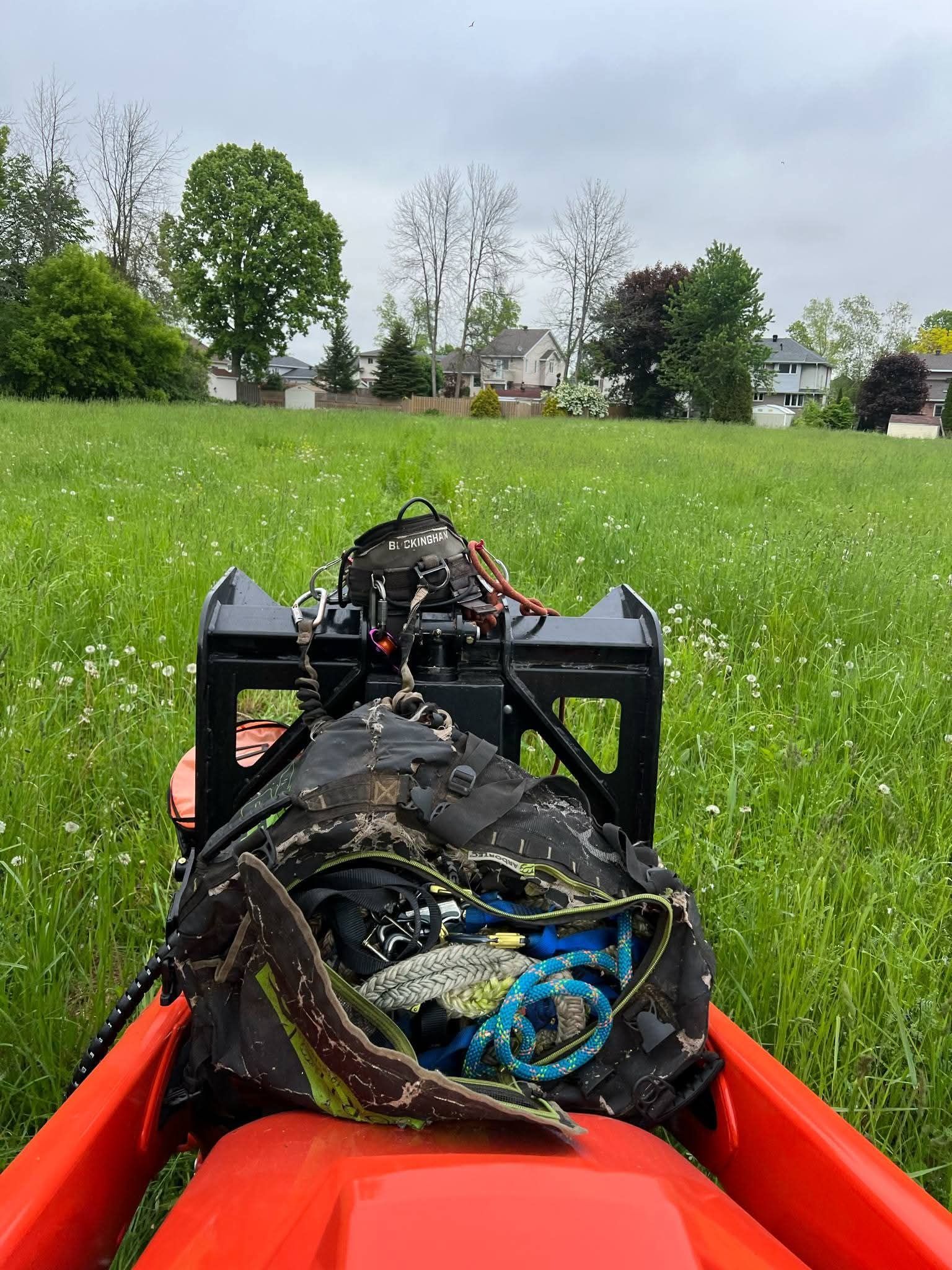 A lizard is sitting on top of a red kayak in a grassy field.