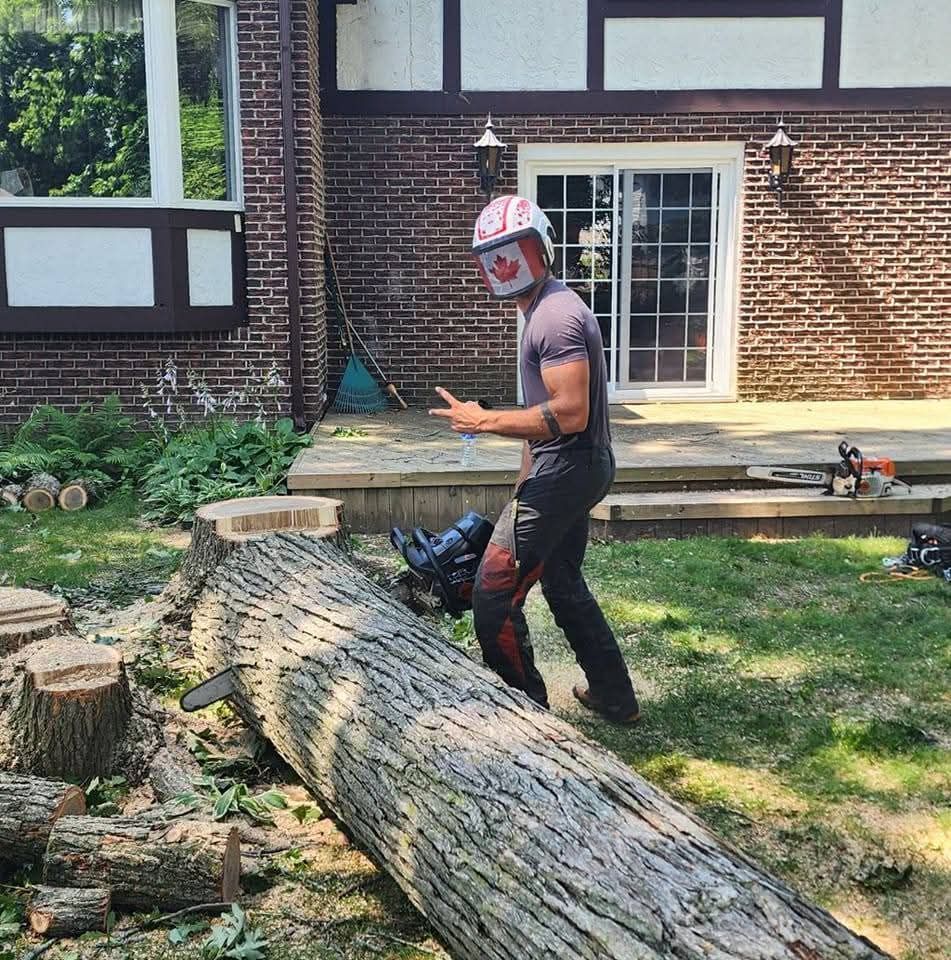 A man is standing next to a large log with a chainsaw.