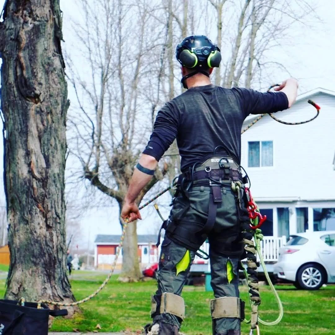 A man wearing a helmet is standing in front of a tree