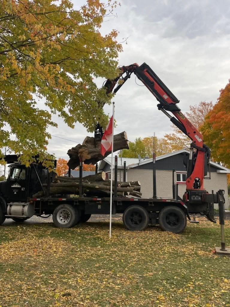 A truck with a crane attached to it is carrying logs.