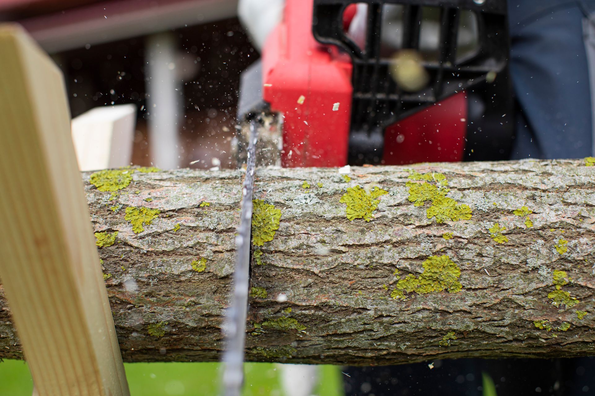 A person is cutting a log with a chainsaw.