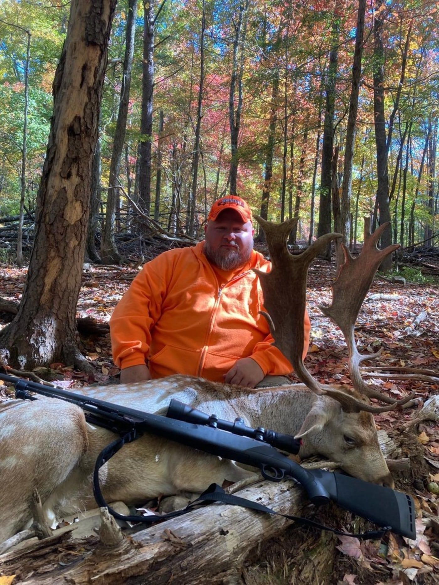 Trophy Wild Boar & Exotic Game Gallery Wilderness Hunting Lodge