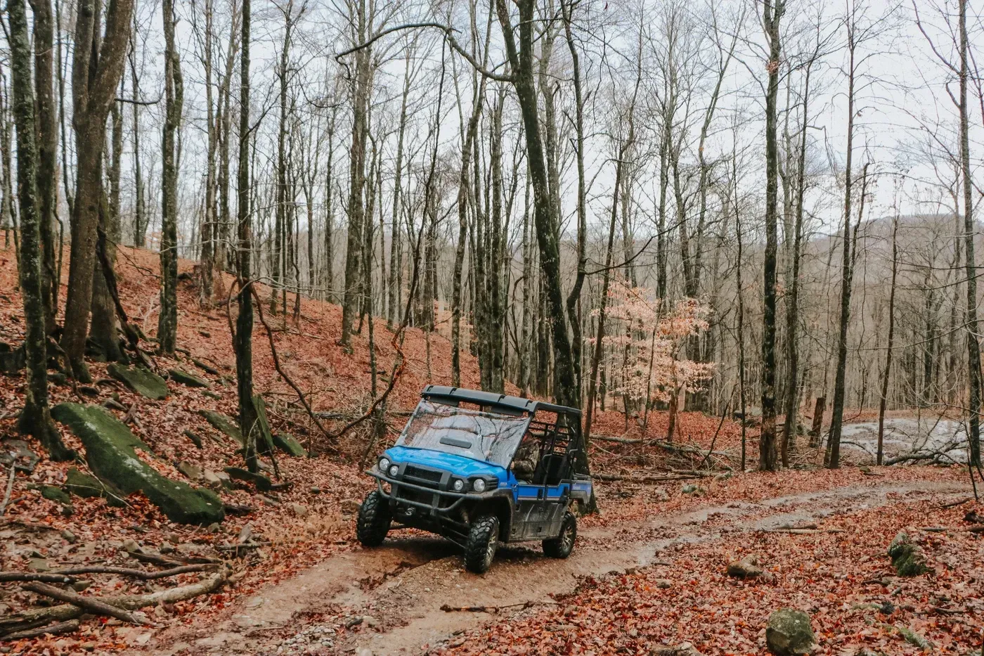 Tennessee Hunting