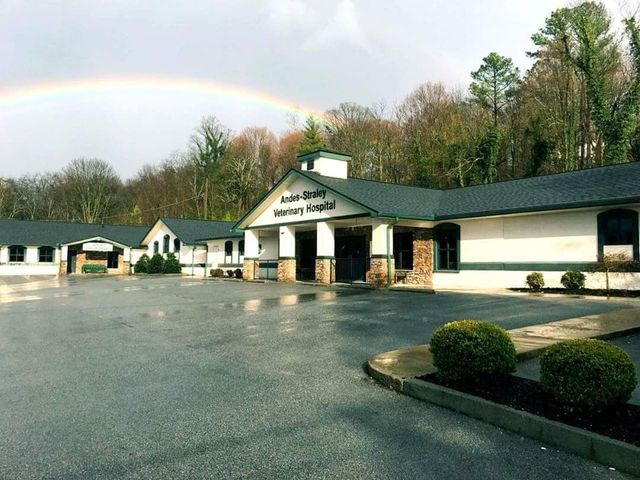 Motel courtyard under a rainbow, with white buildings and wet pavement after rain