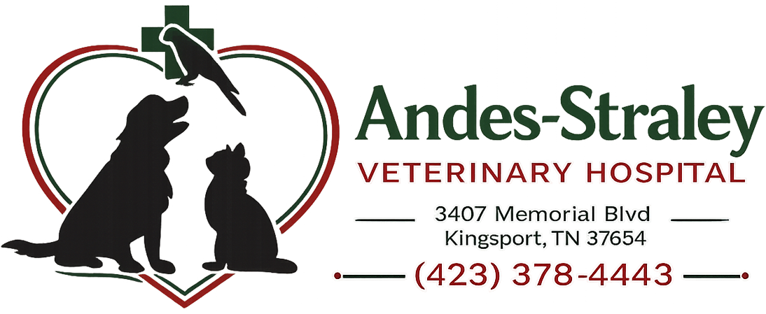 Andes-Straley Veterinary Hospital logo with pet silhouettes, heart outline, and Kingsport, TN contact information