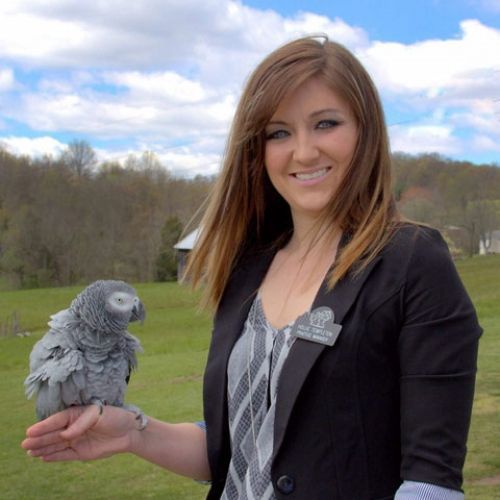Woman holding a gray parrot outdoors in a grassy field under a blue sky