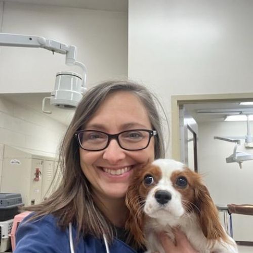 Woman smiling with a Cavalier King Charles Spaniel in a veterinary clinic