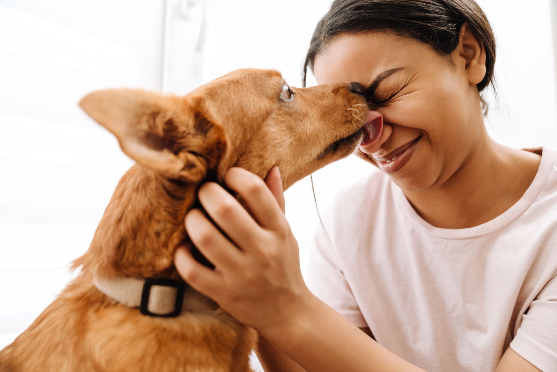 Woman smiling as a brown dog nuzzles her face indoors