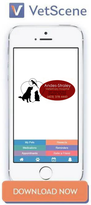 VetScene app promo showing a white smartphone with a dog and cat logo and orange “DOWNLOAD NOW” button