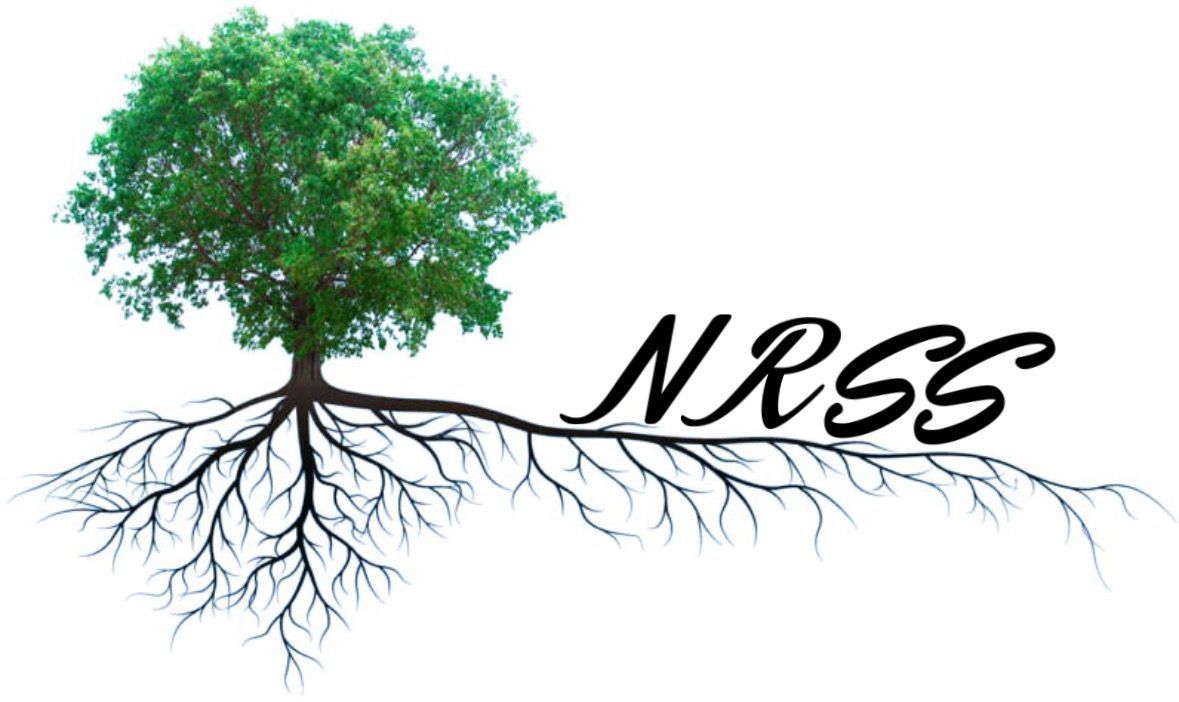 A stylized green tree with visible roots that extend to form the black text