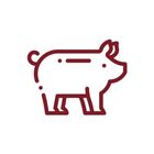 Carne di maiale