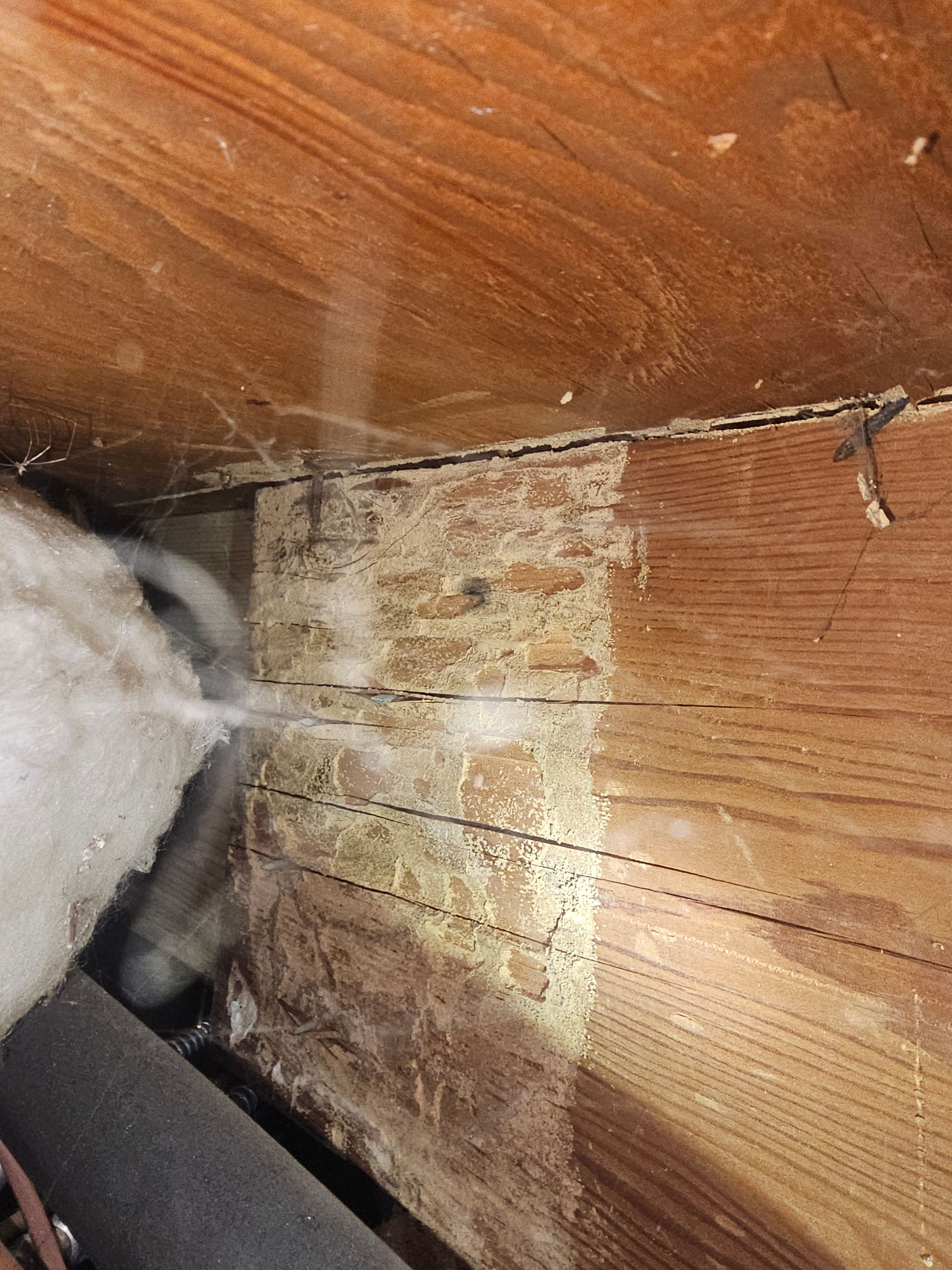 Mold and water damage in a corner with stained wood and white insulation.