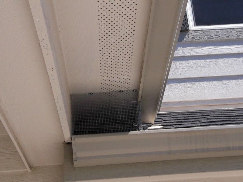 A close-up of soffit ventilation with metal mesh protecting it and a gutter below.