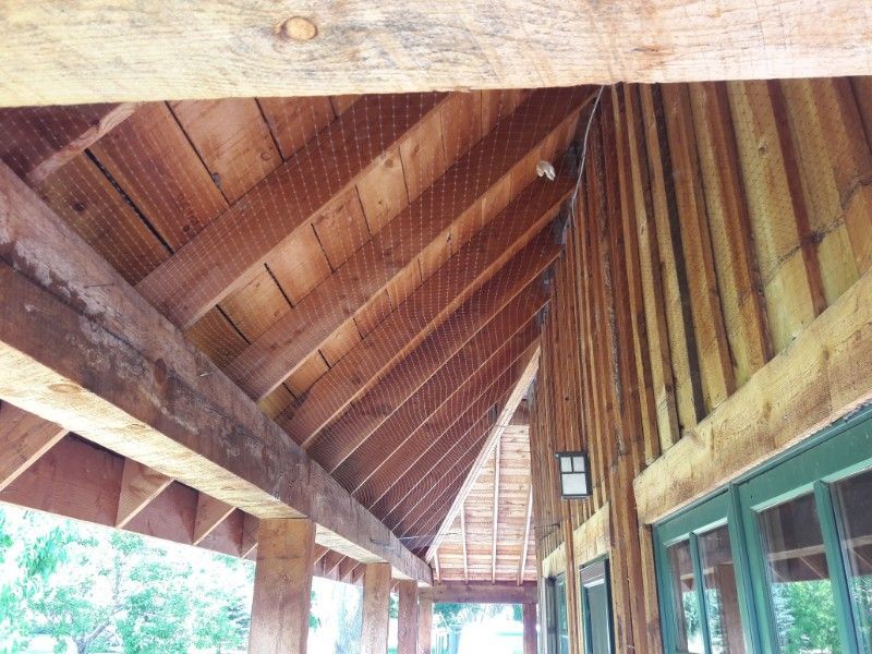 Wooden porch ceiling with beams and supporting structure.