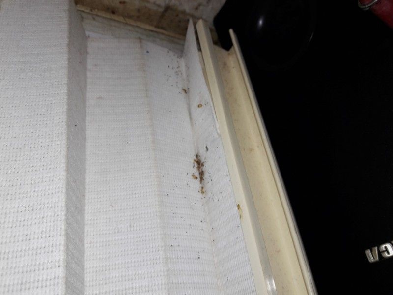 White vertical siding with debris, next to a dark, rectangular object. Corner detail.