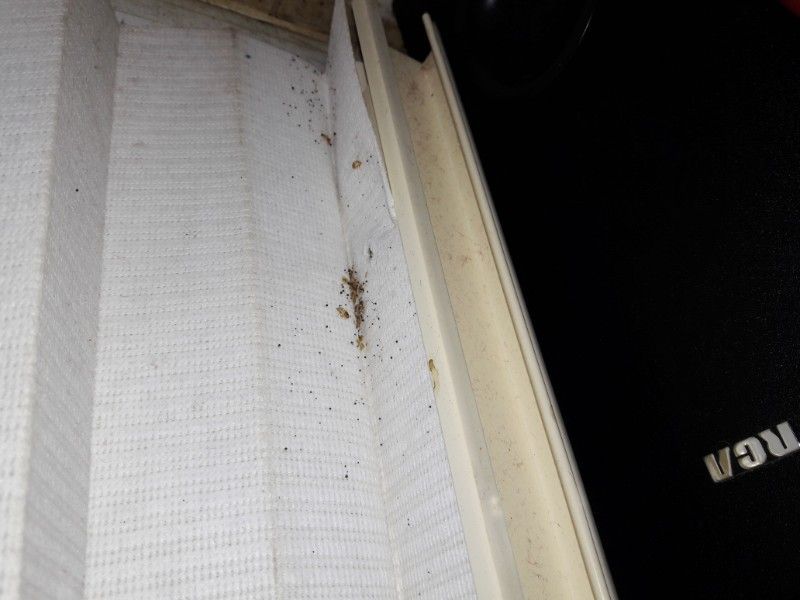 Dirt and small insects on a white vertical blind next to a black RCA-branded object.