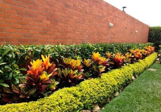 Servicios de jardinería JR