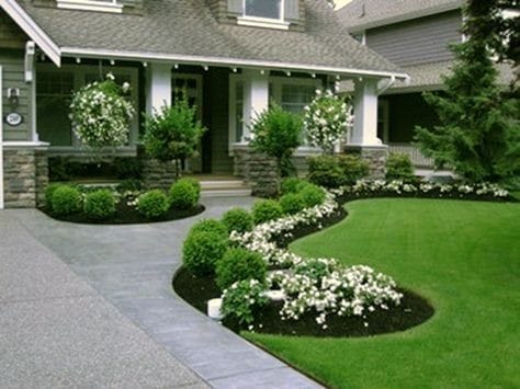 Servicios de jardinería JR