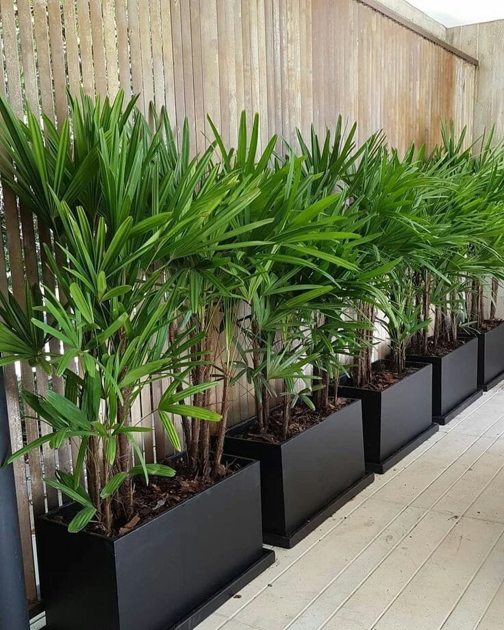 Servicios de jardinería JR