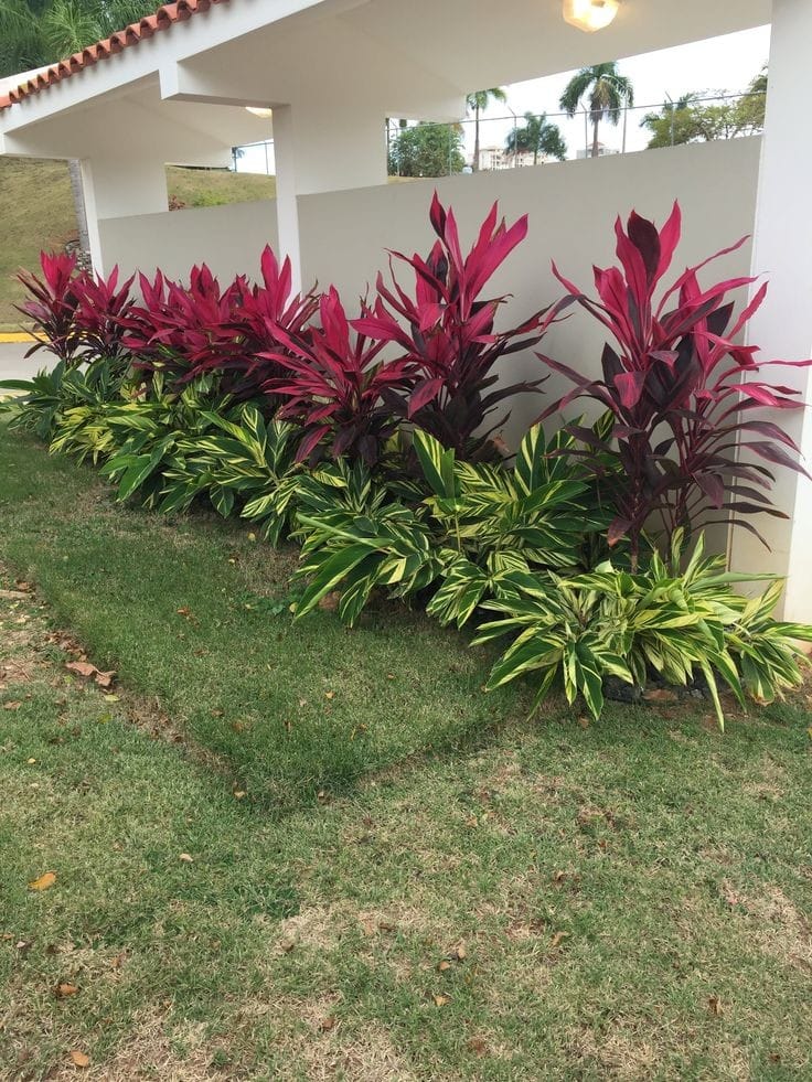 Servicios de jardinería JR