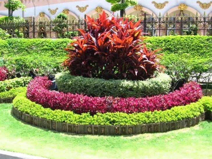 Servicios de jardinería JR