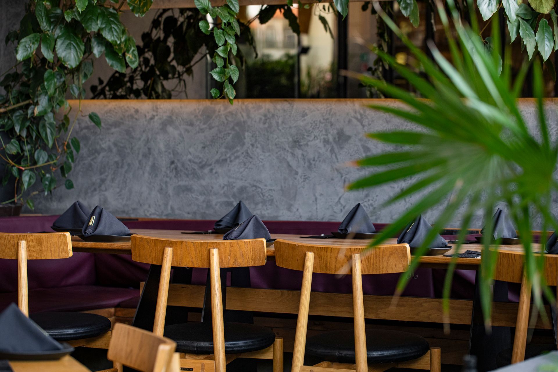 Restaurante acogedor con sillas de madera, asientos morados, mesas oscuras y plantas verdes exuberantes.