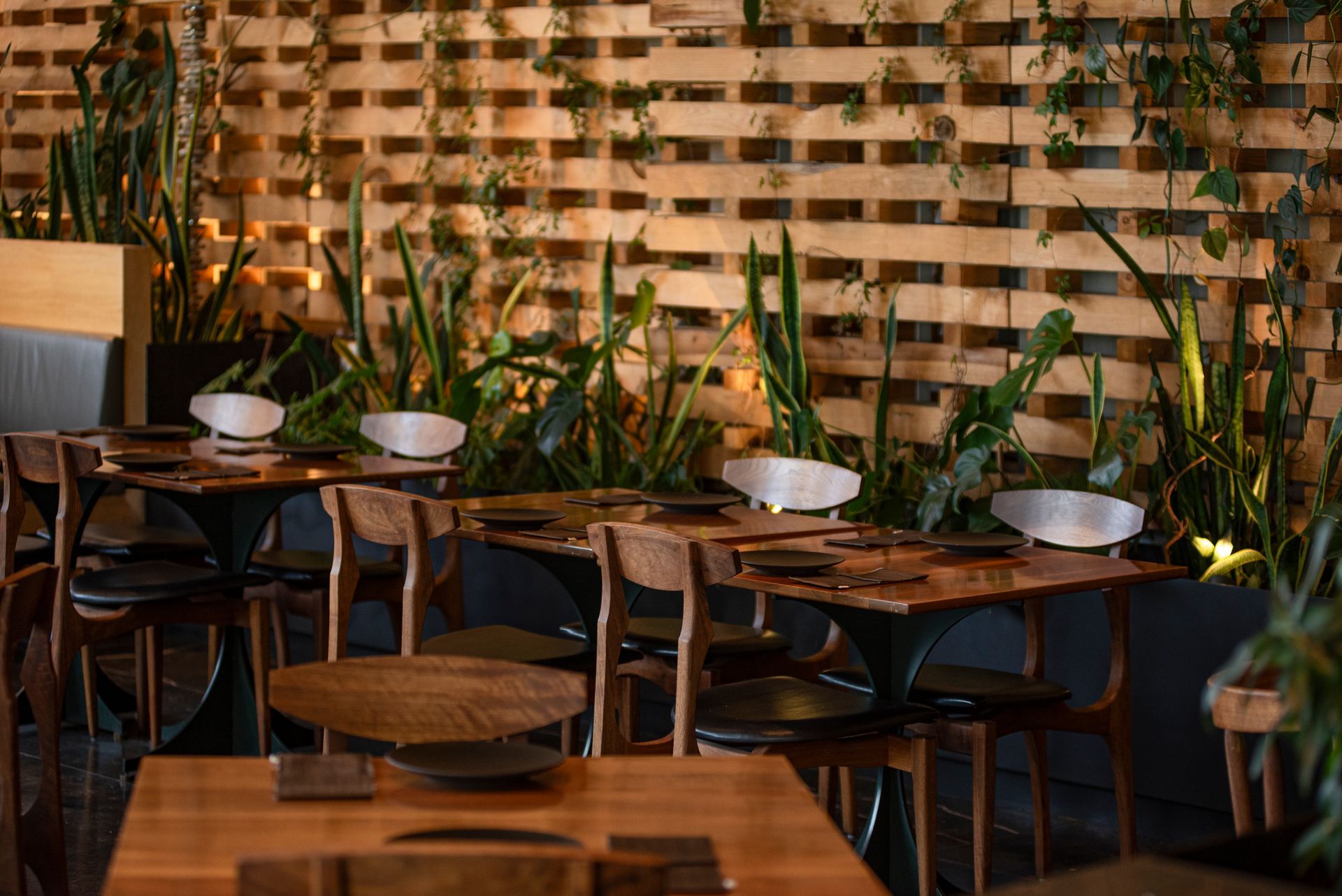 Acogedor patio de restaurante con mesas de madera, sillas de mimbre, vajilla blanca y una cálida iluminación ambiental.
