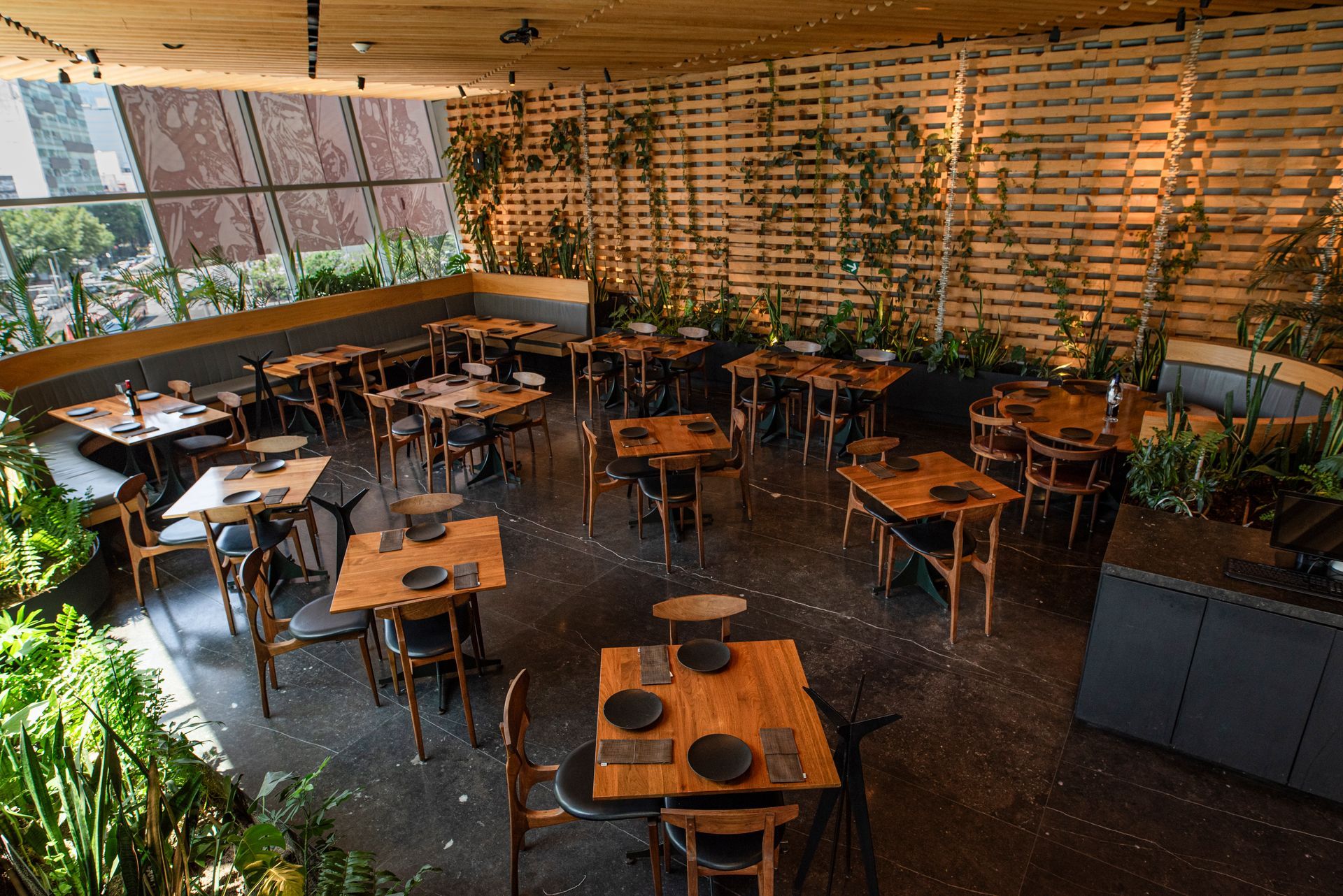 Cafetería moderna con mesas y sillas de madera, y exuberantes plantas verdes bajo una iluminación cálida.