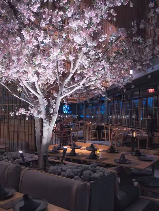 Un cerezo en flor ilumina por la noche el patio de un restaurante al aire libre, con mesas y sofás bajo luces rosas.