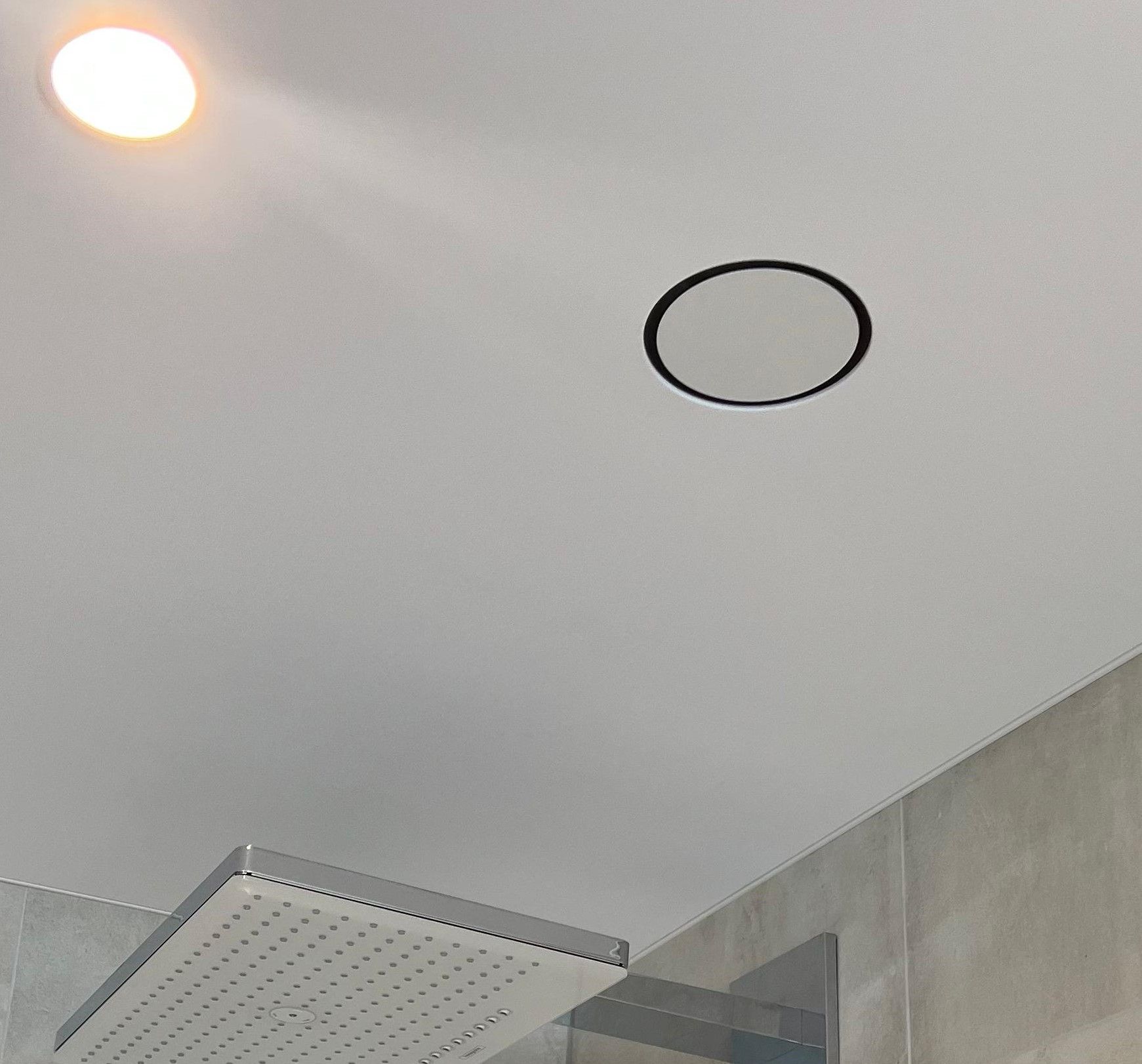 Plafond met inbouwspot en afzuigventilator. In de hoek is een douchekop zichtbaar.